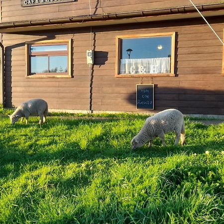 Cafe & Hostal Acurruka Curacautín 外观 照片
