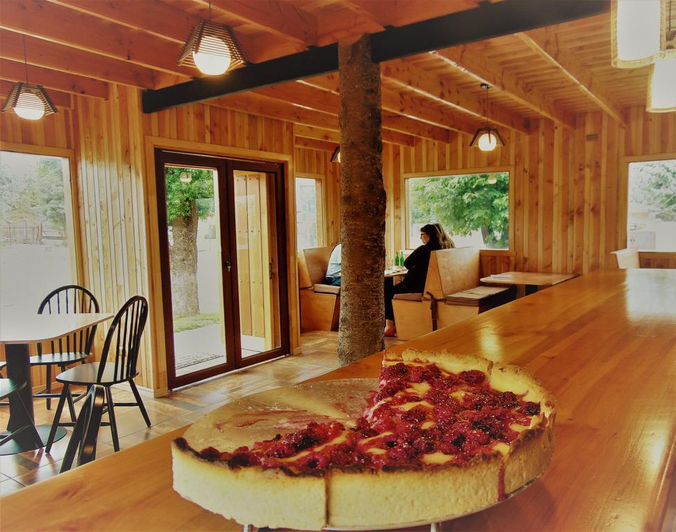 Cafe & Hostal Acurruka Curacautín 外观 照片